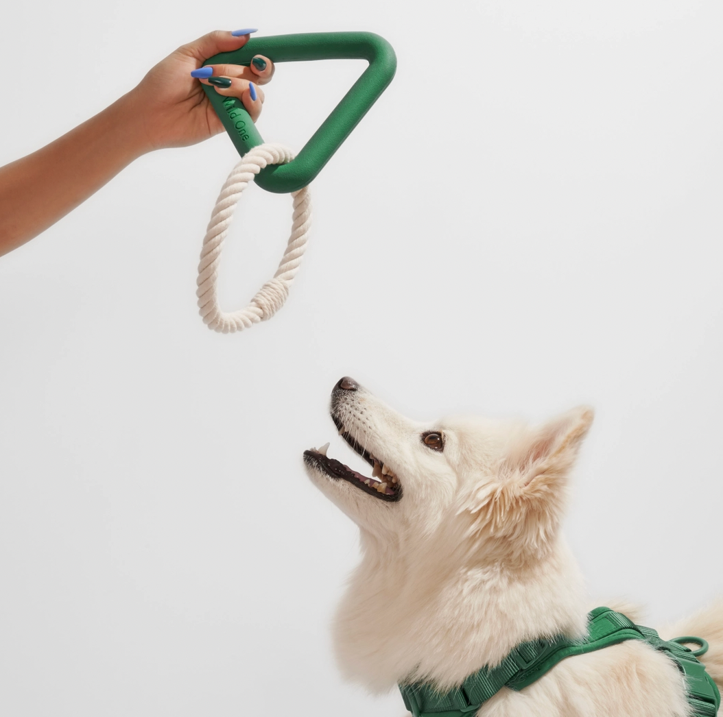 Small Spruce Triangle Tug Toy