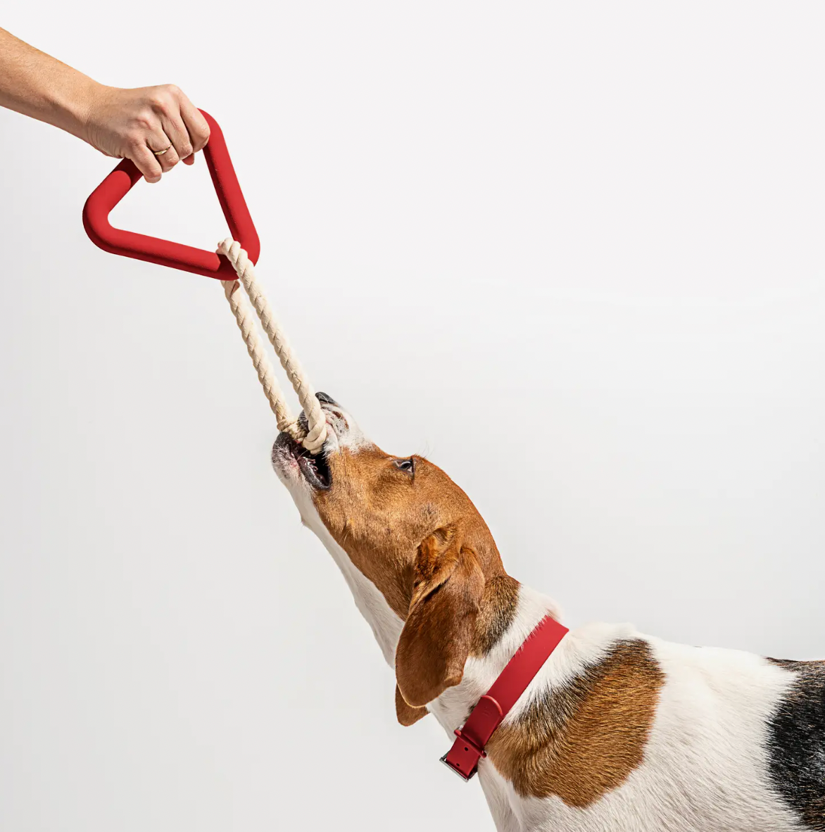 Red Triangle Tug Toy