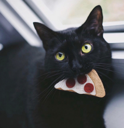 Pizza Slice Catnip Toy