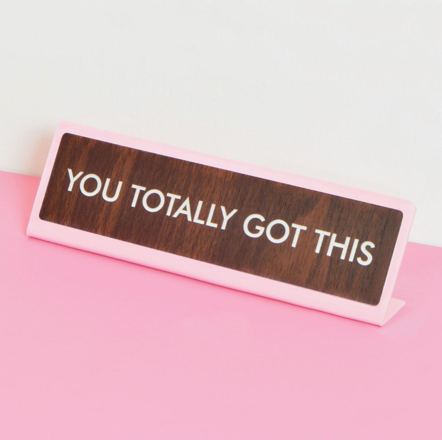 You Totally Got This Desk Plate Sign