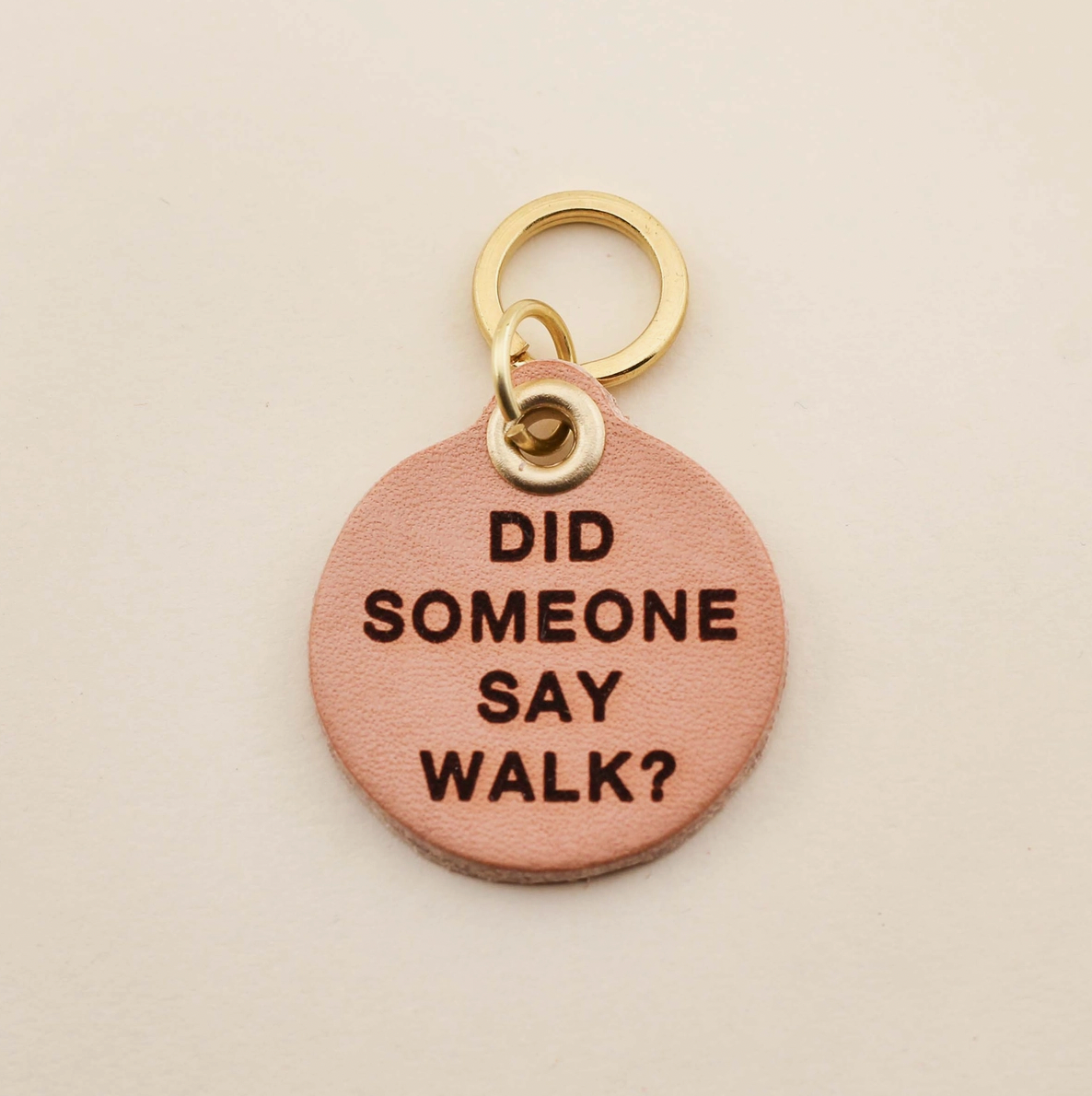 &quot;Did Someone Say Walk?&quot; Dog Tag