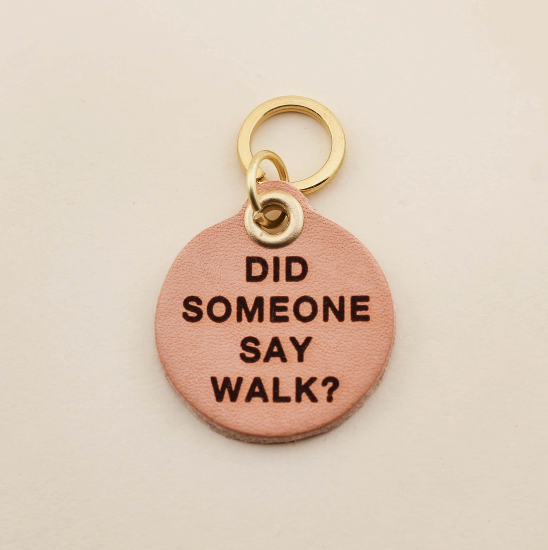 &quot;Did Someone Say Walk?&quot; Dog Tag