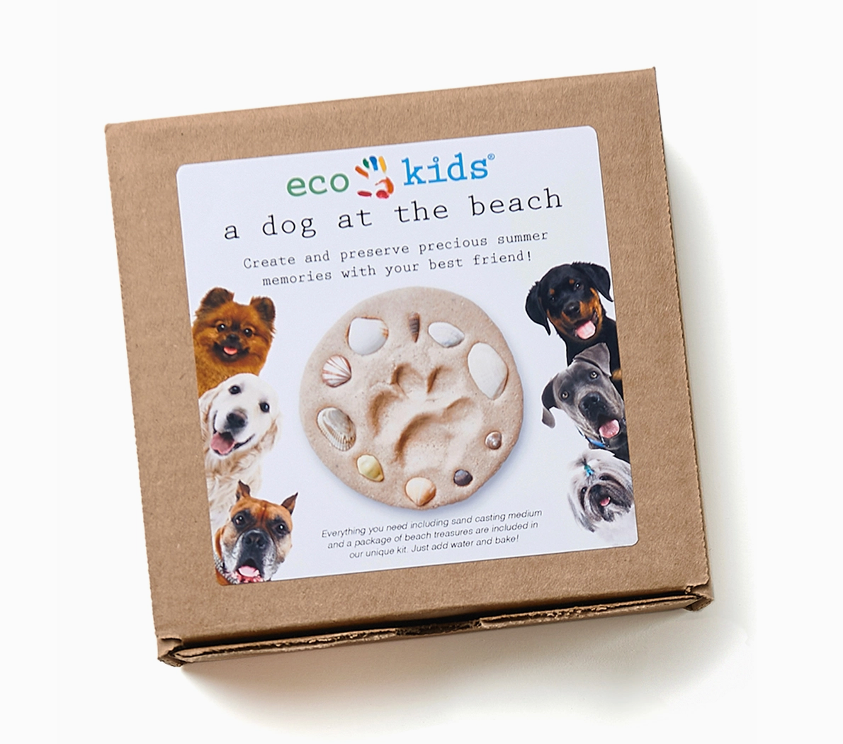&quot;A Dog at the Beach&quot; Memory Kit