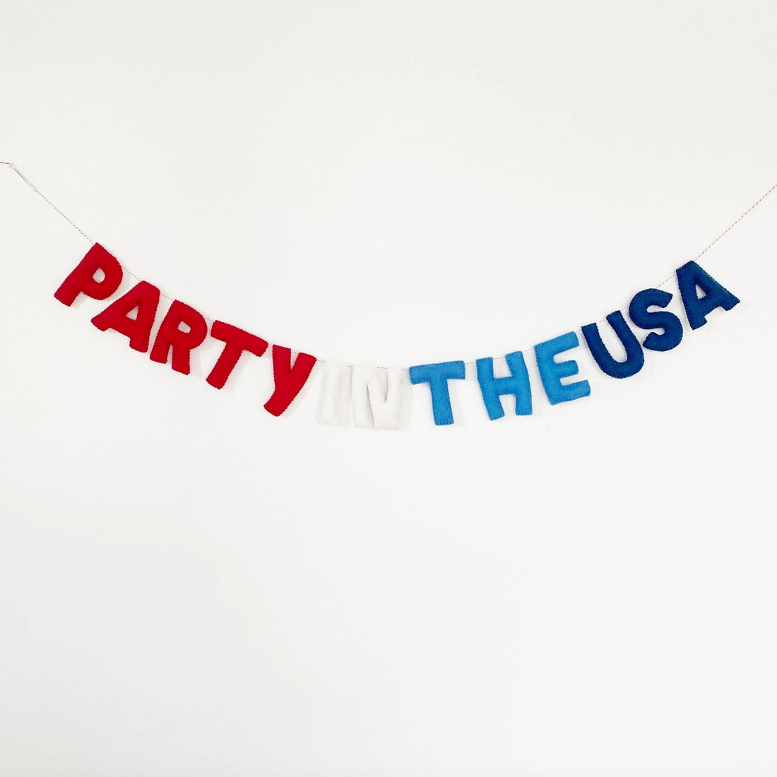 &quot;Party in the USA&quot; Felt Banner