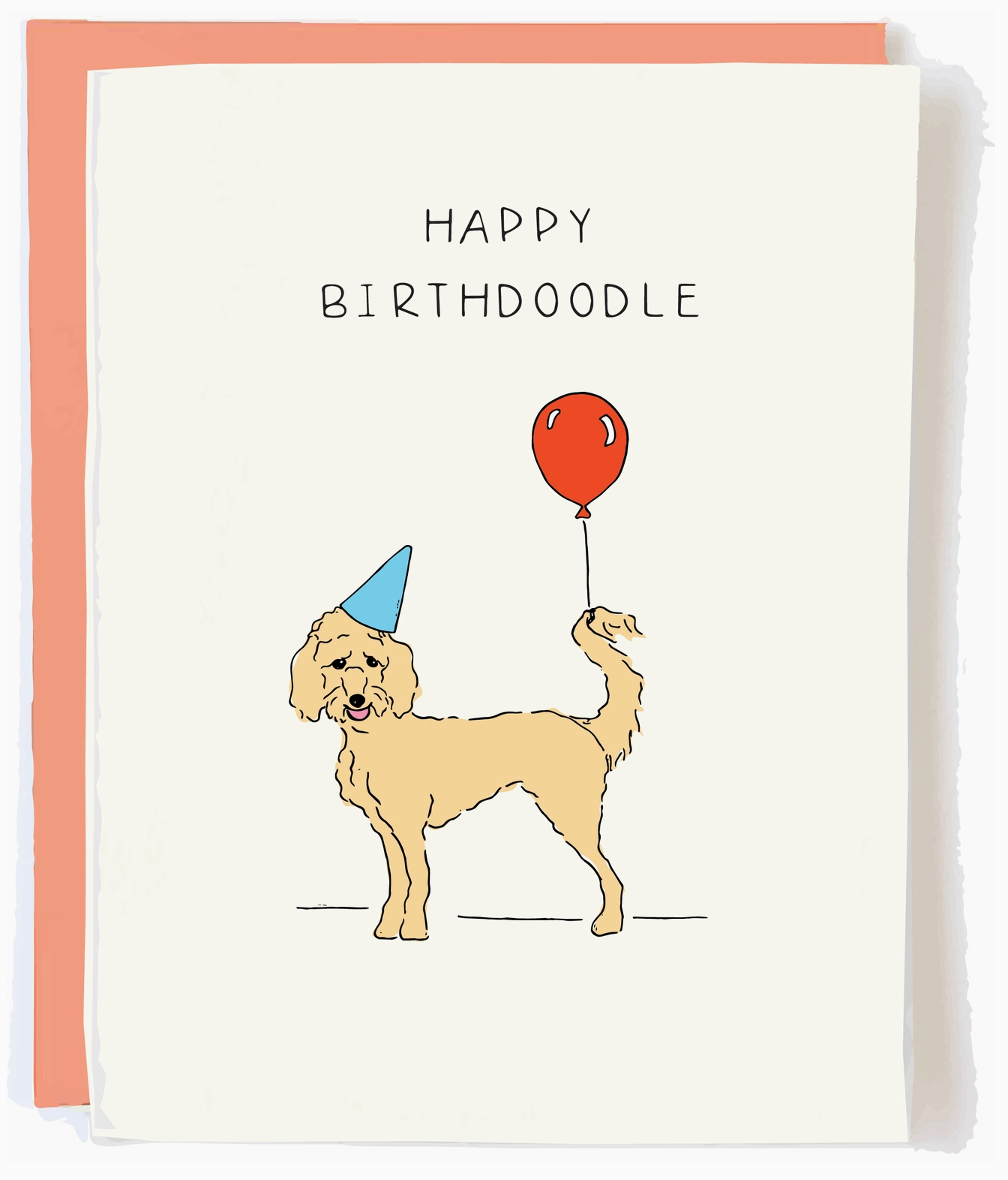 Birthdoodle Birthday Card