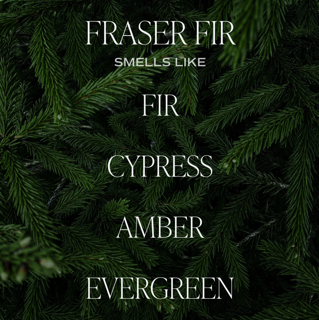 Fraser Fir Candle